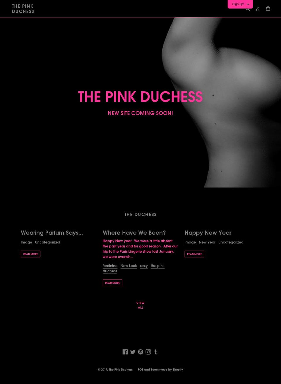 thepinkduchess.com shopify website screenshot