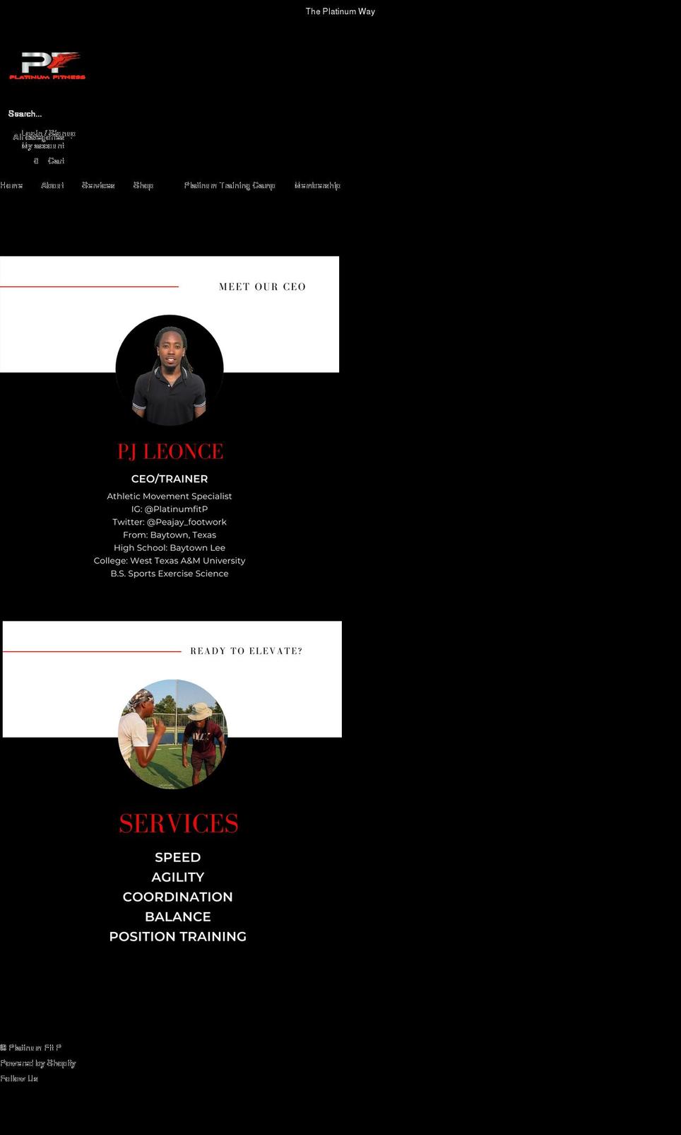 theplatinumfit.com shopify website screenshot