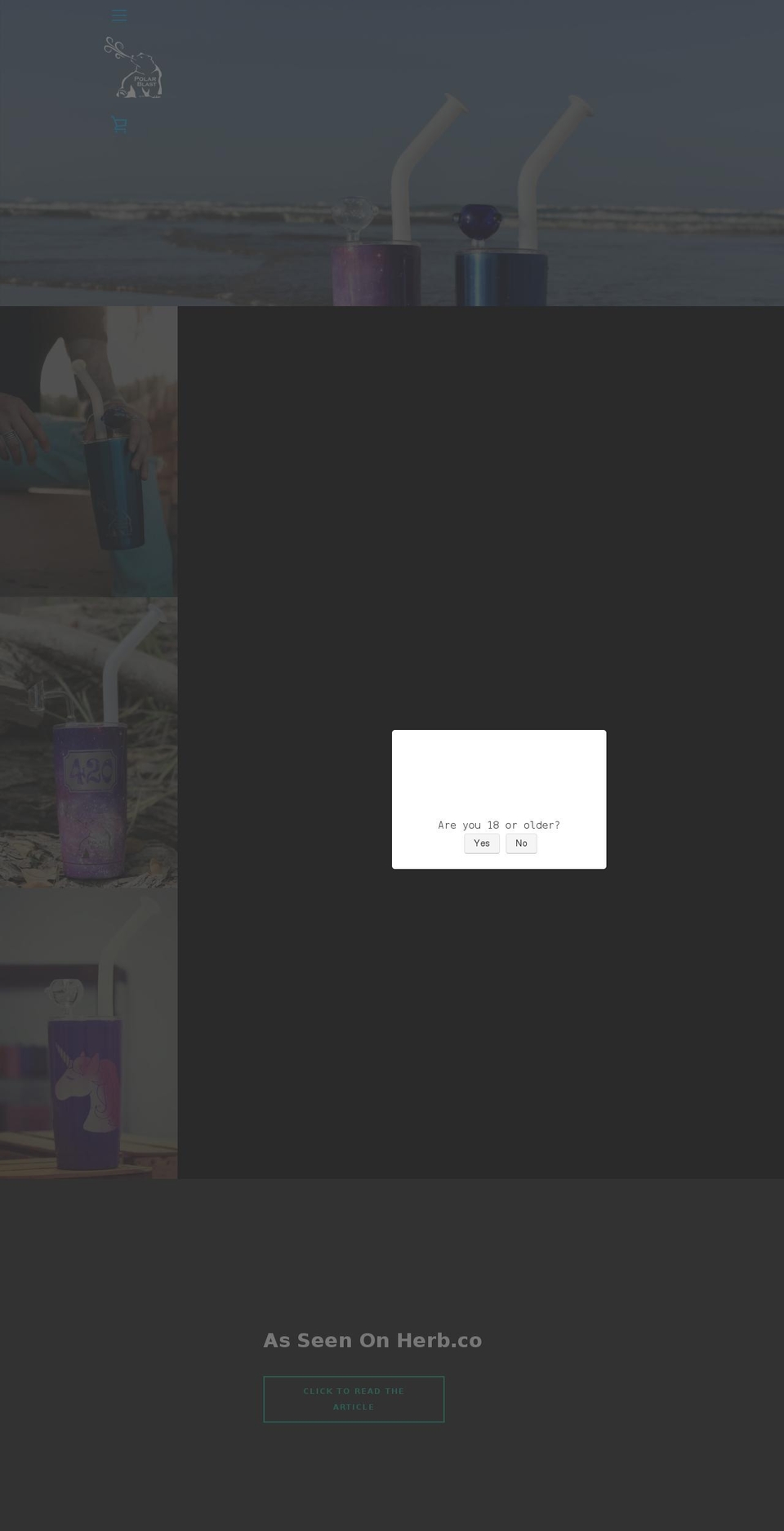 thepolarblast.com — Shopify storefront screenshot