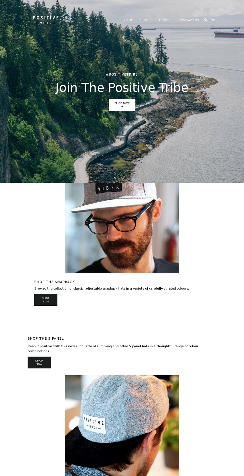 thepositiveleap.com — Shopify storefront screenshot