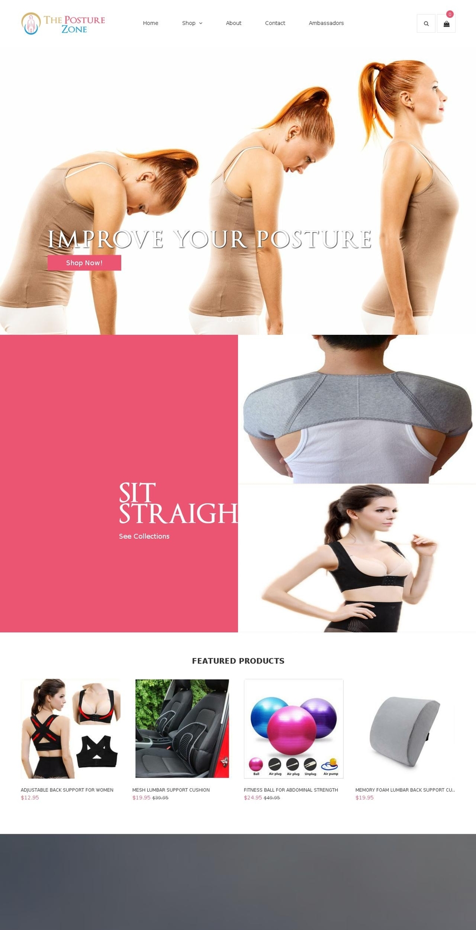 theposturezone.com shopify website screenshot