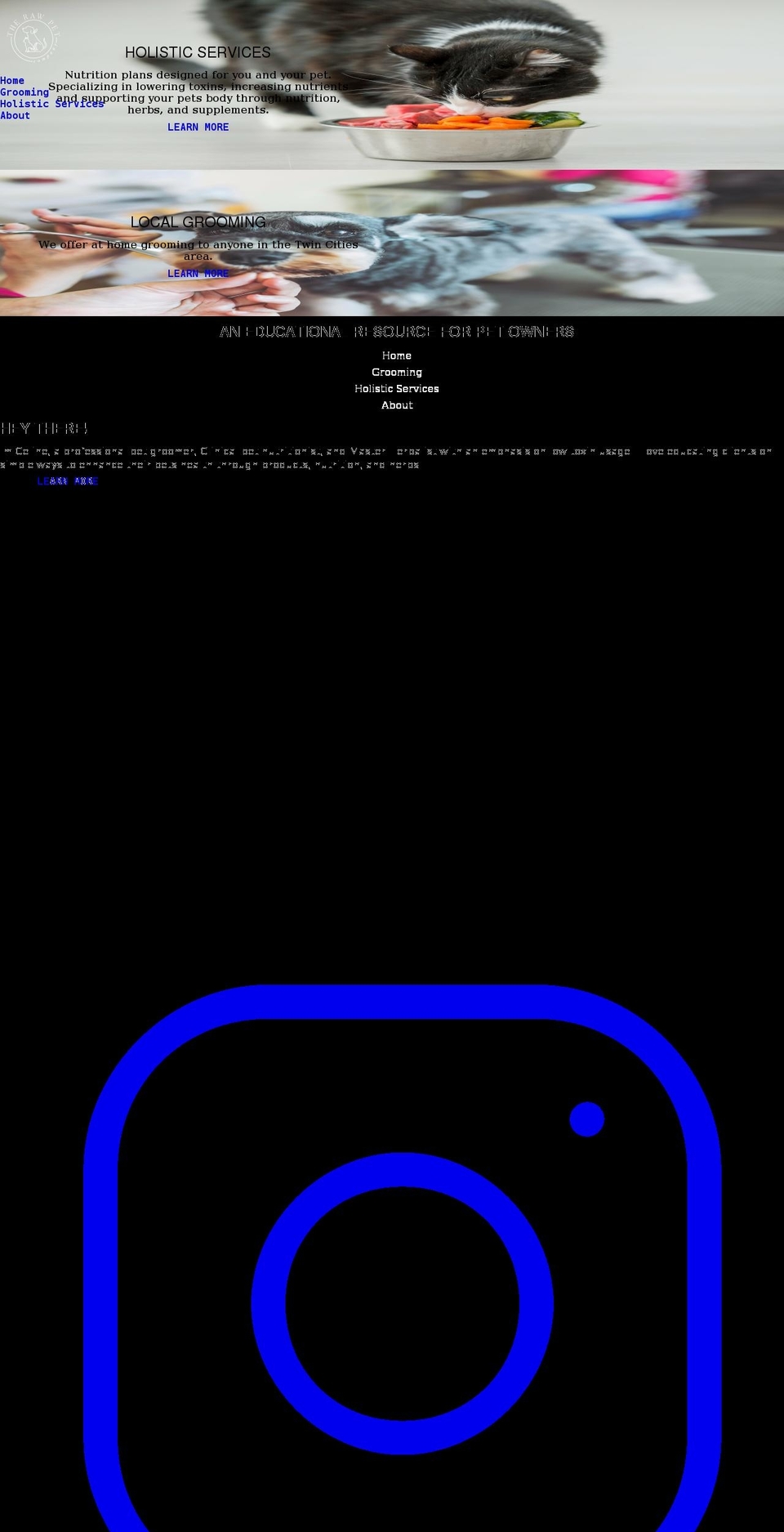 therawpetcompany.com shopify website screenshot