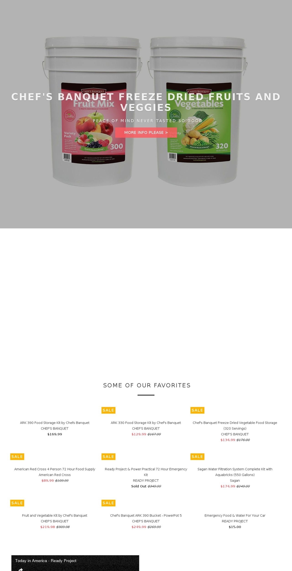 thereadyproject.com shopify website screenshot
