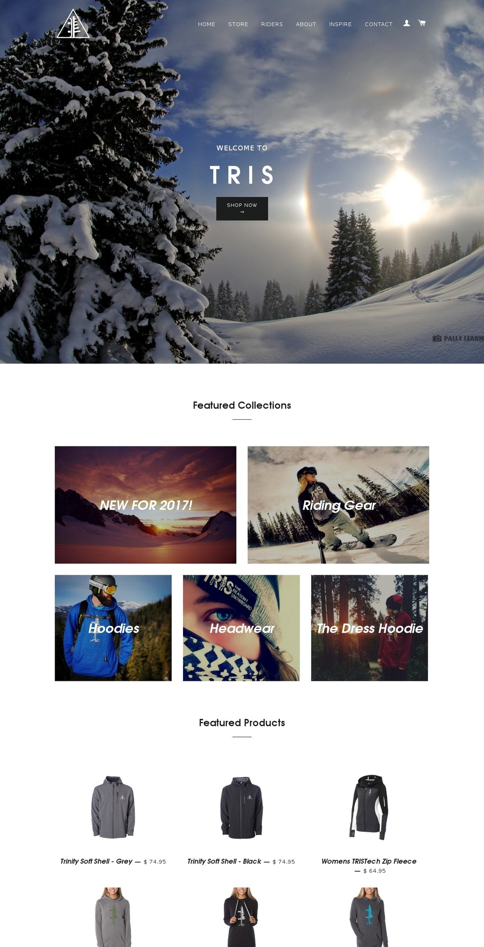thereasonisnowboard.com shopify website screenshot