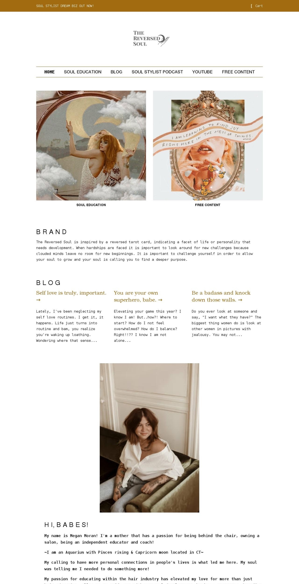 thereversedsoul.com shopify website screenshot