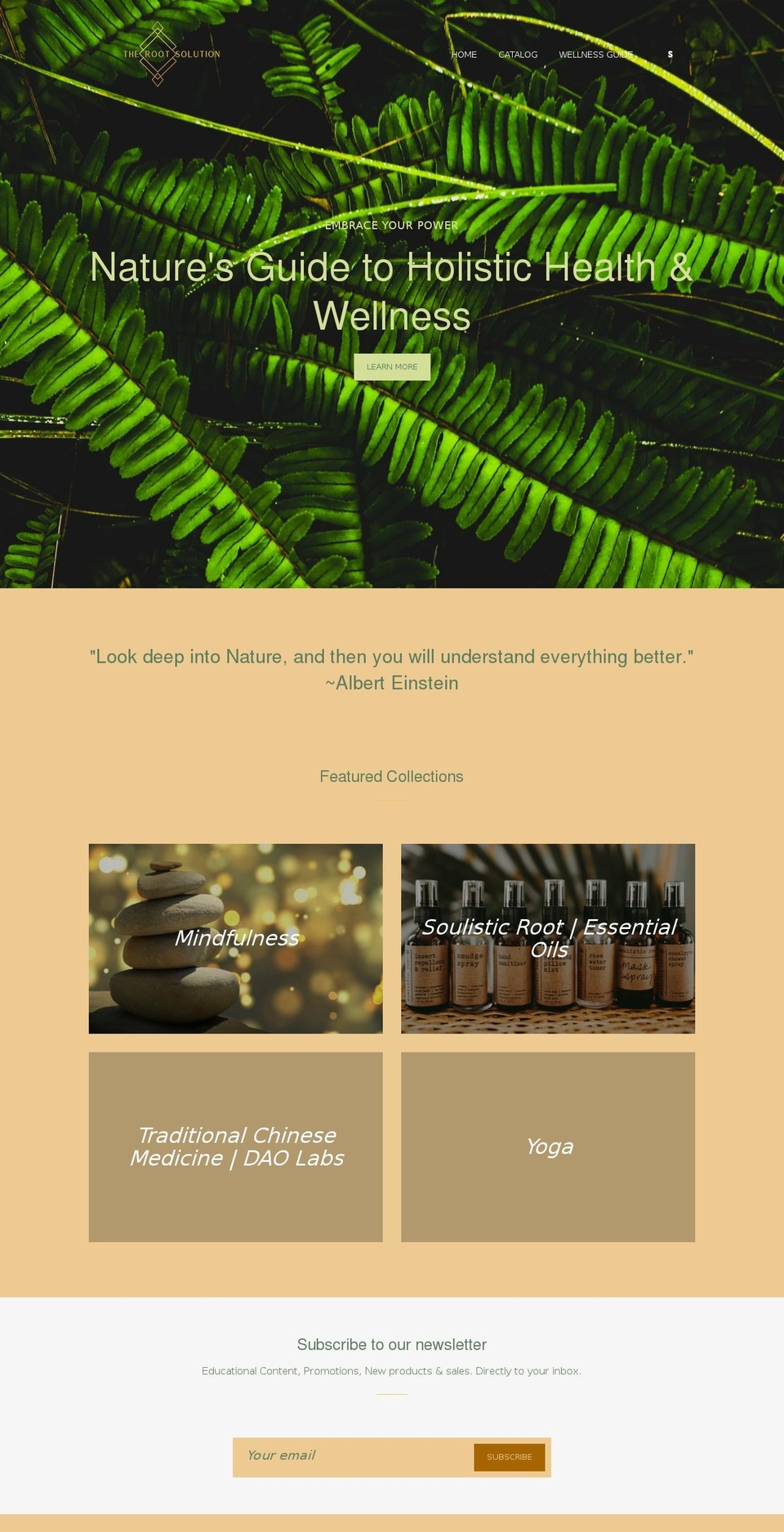 therootsolution.org shopify website screenshot