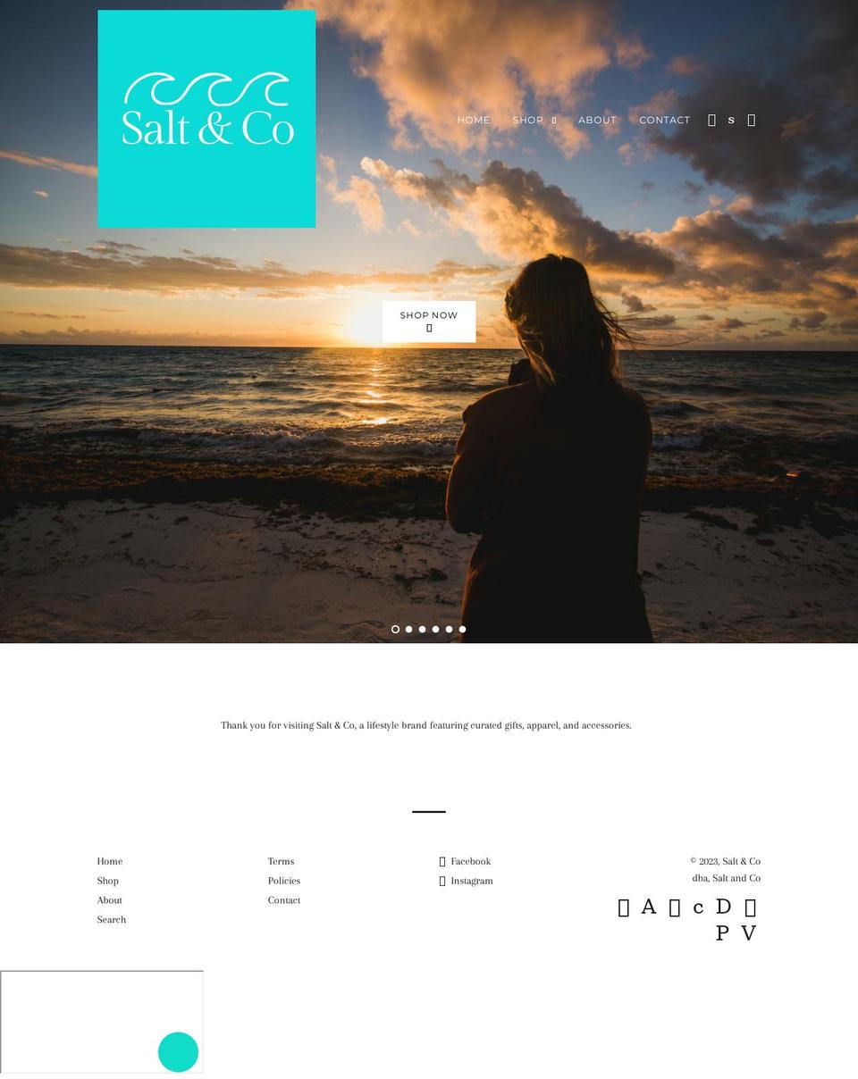 thesaltandco.com shopify website screenshot