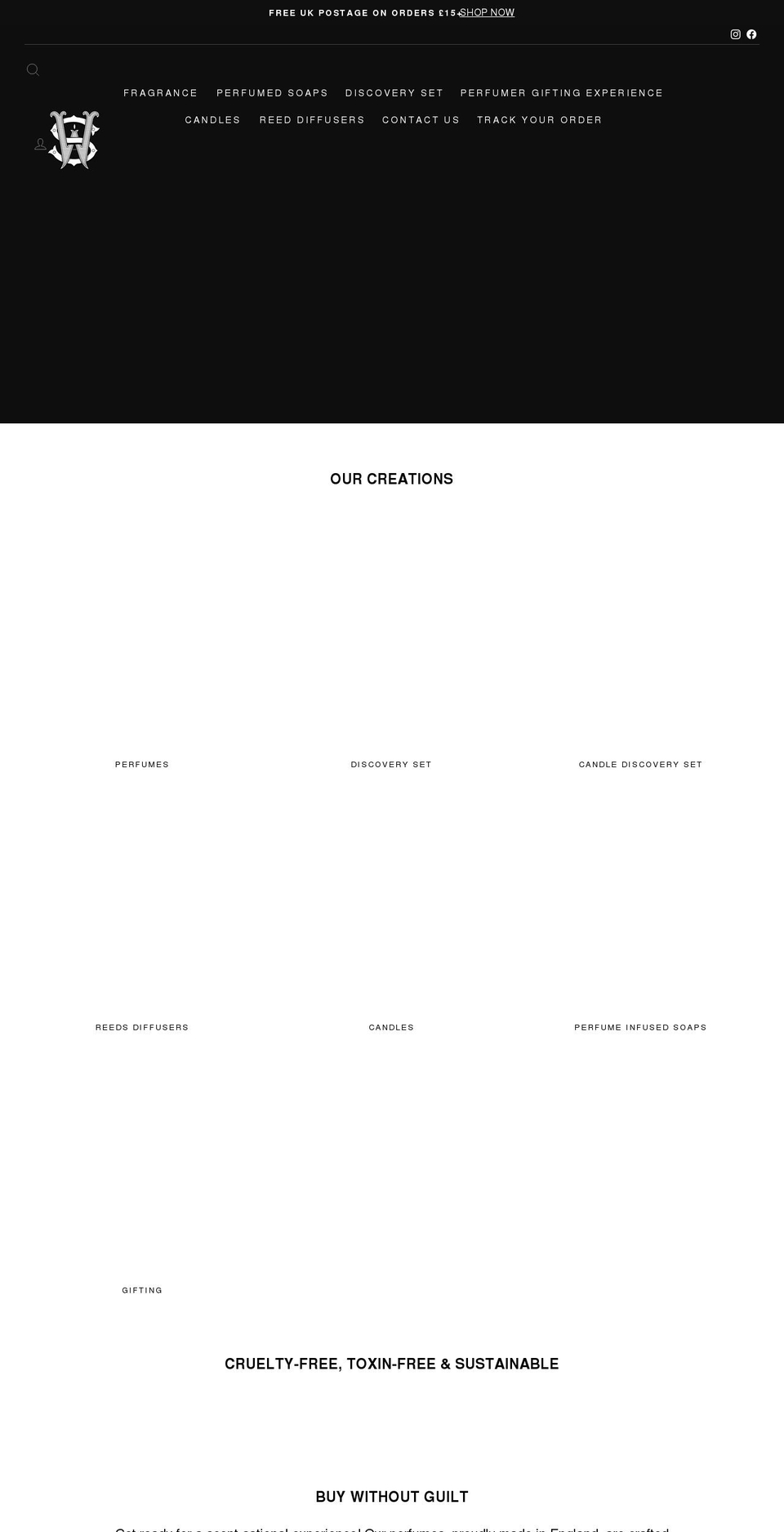 thesaltworkscompany.com shopify website screenshot