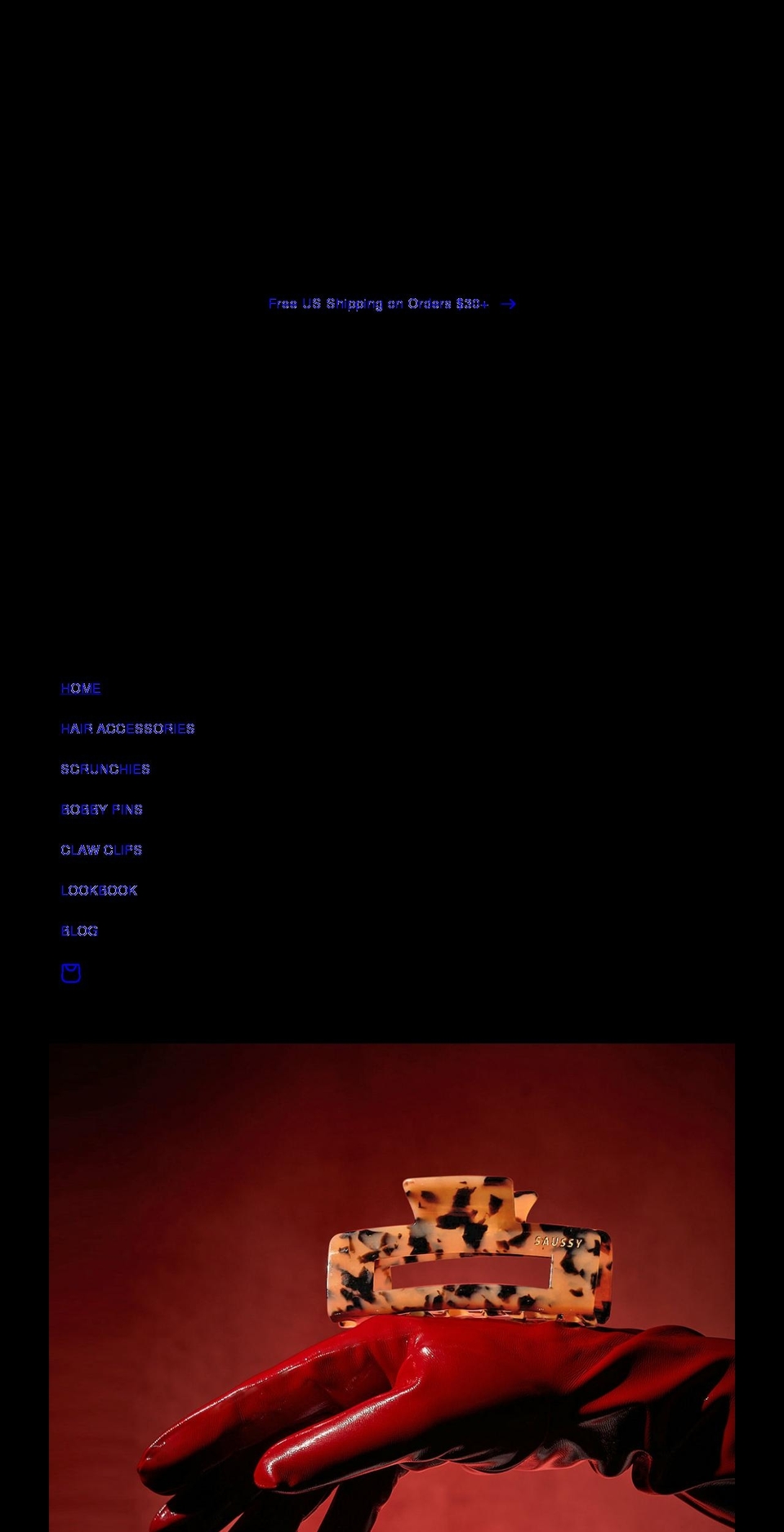 thesaussy.com shopify website screenshot