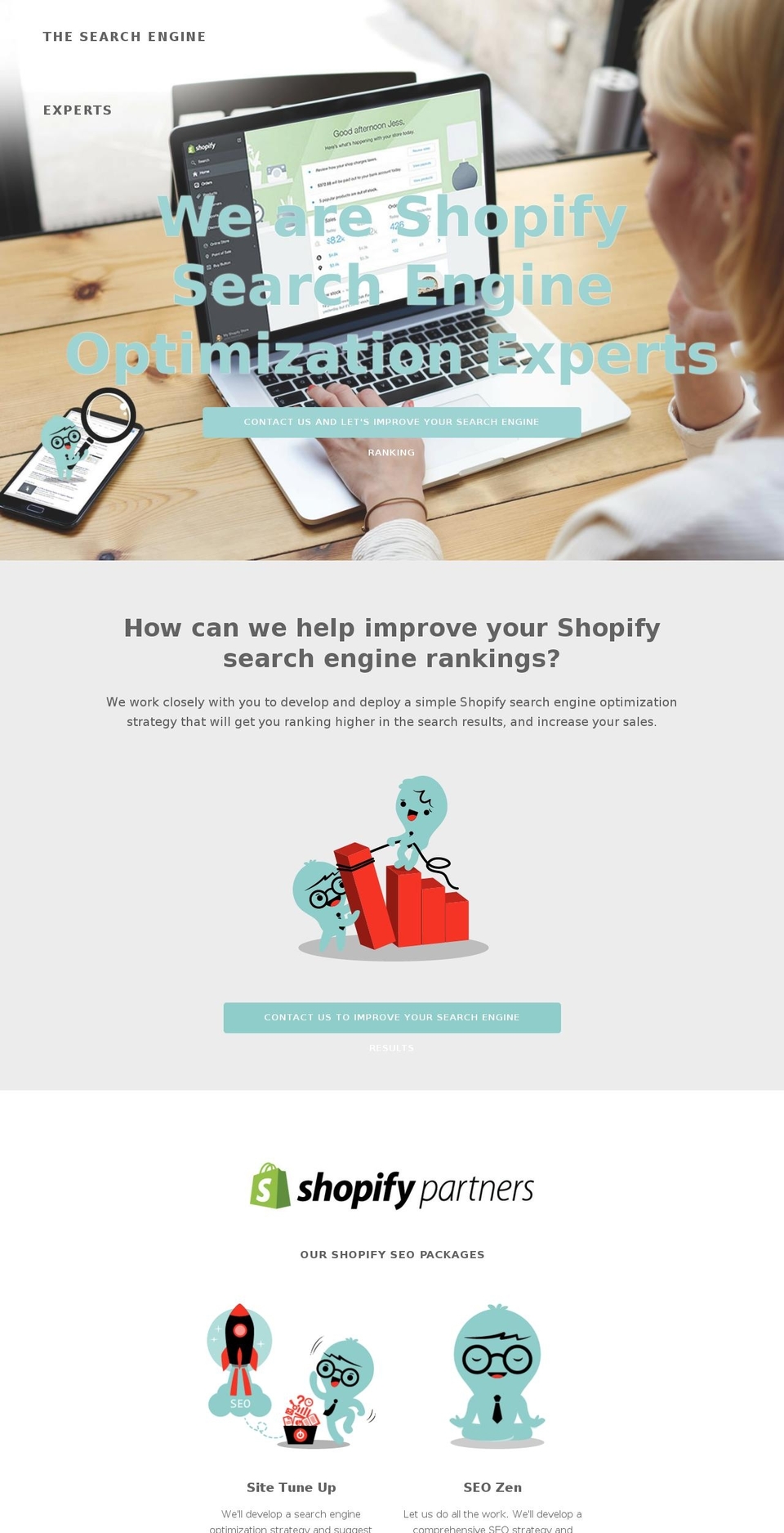 thesearchengineexperts.com shopify website screenshot