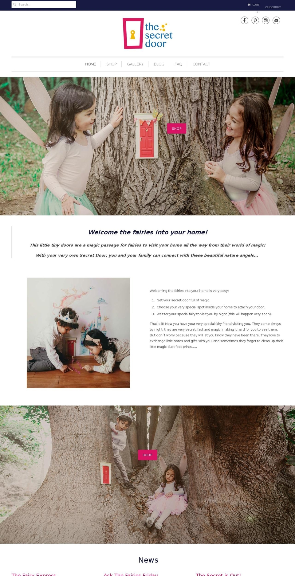 thesecretdoorstore.com shopify website screenshot