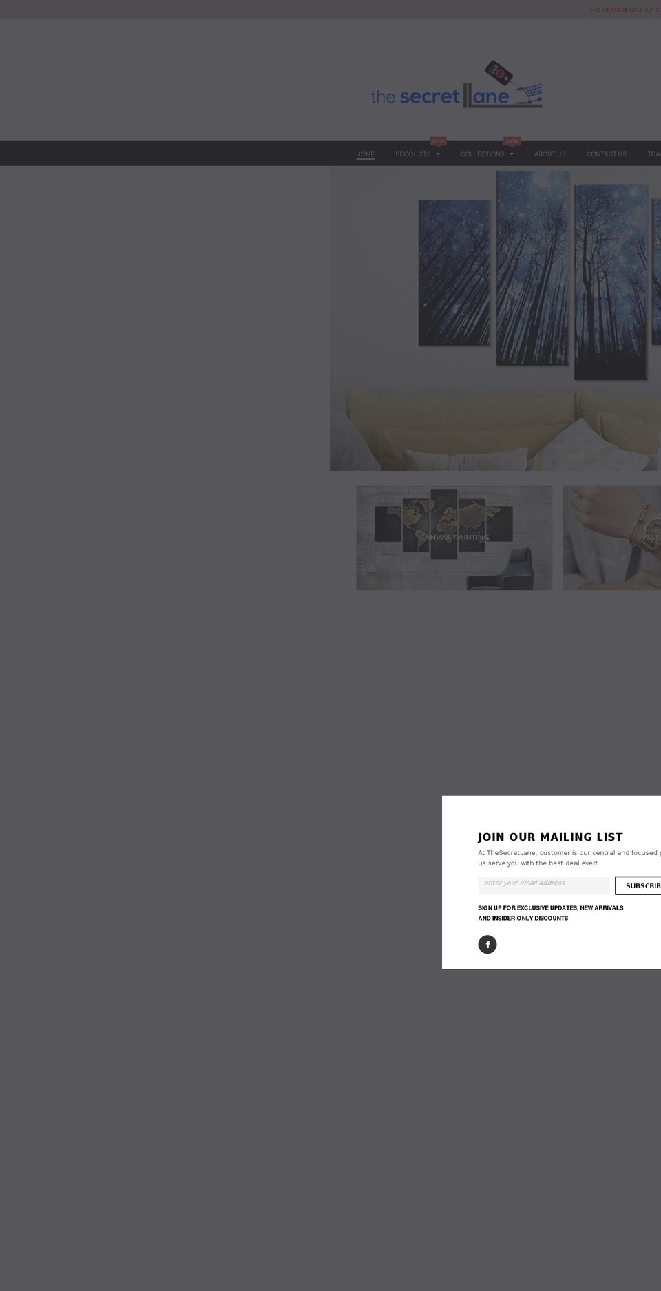 thesecretlane.com shopify website screenshot