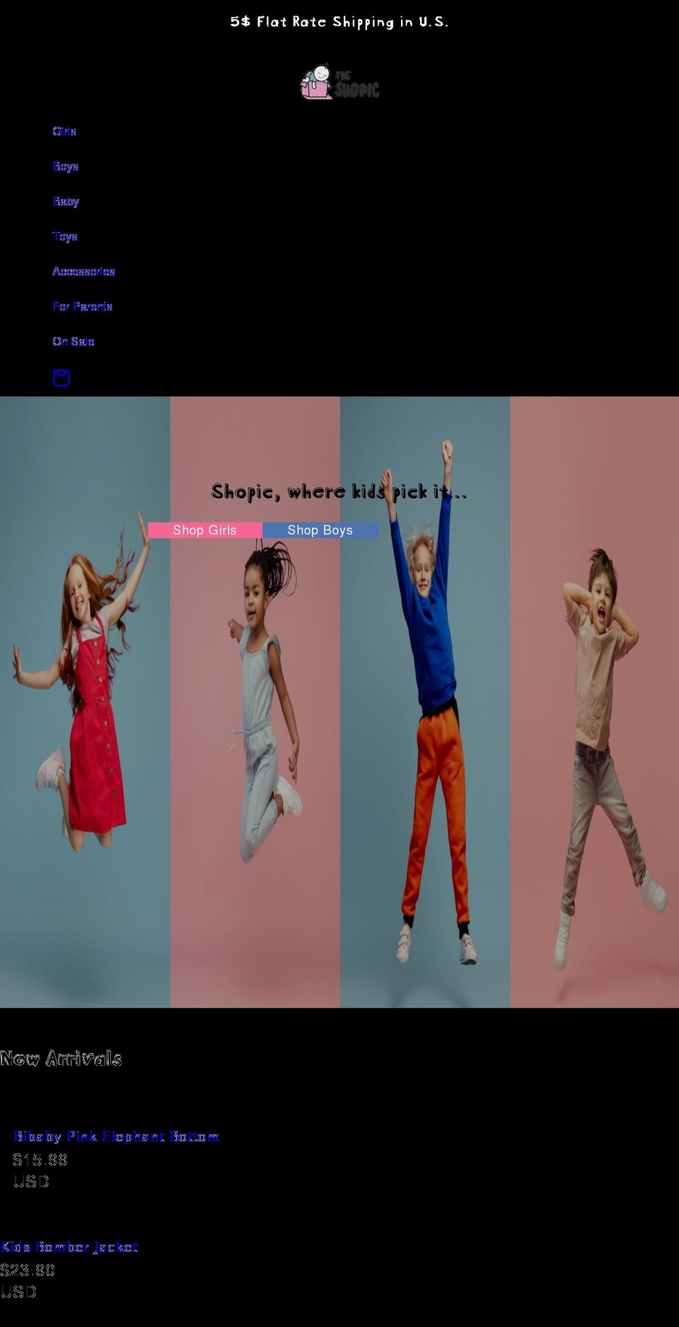 theshopic.com shopify website screenshot