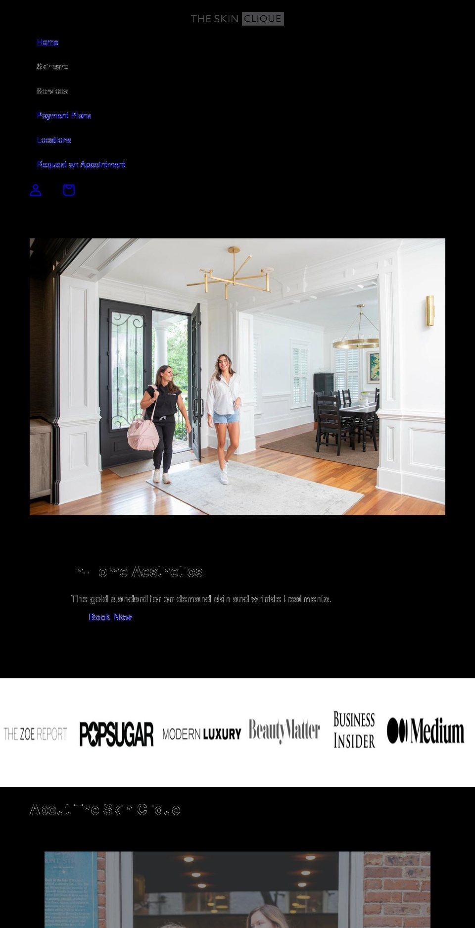 theskinclique.com shopify website screenshot
