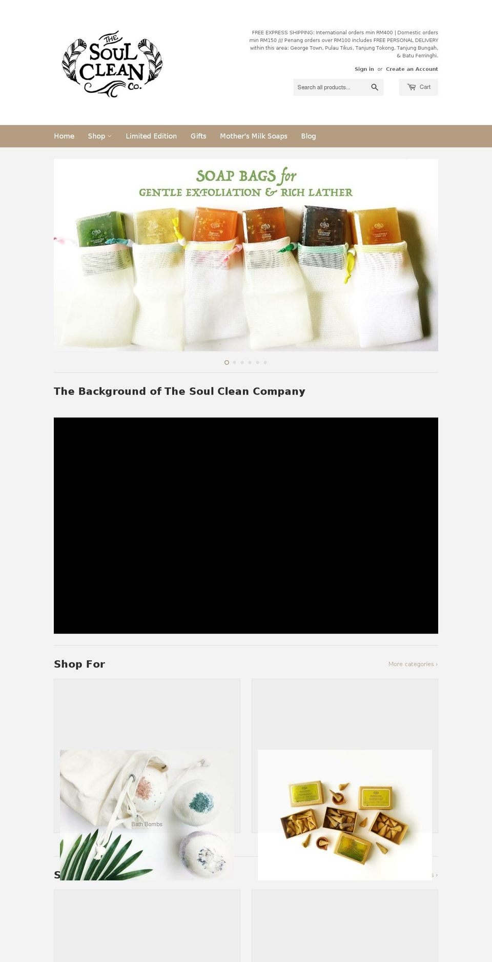 thesoulclean.com — Shopify storefront screenshot