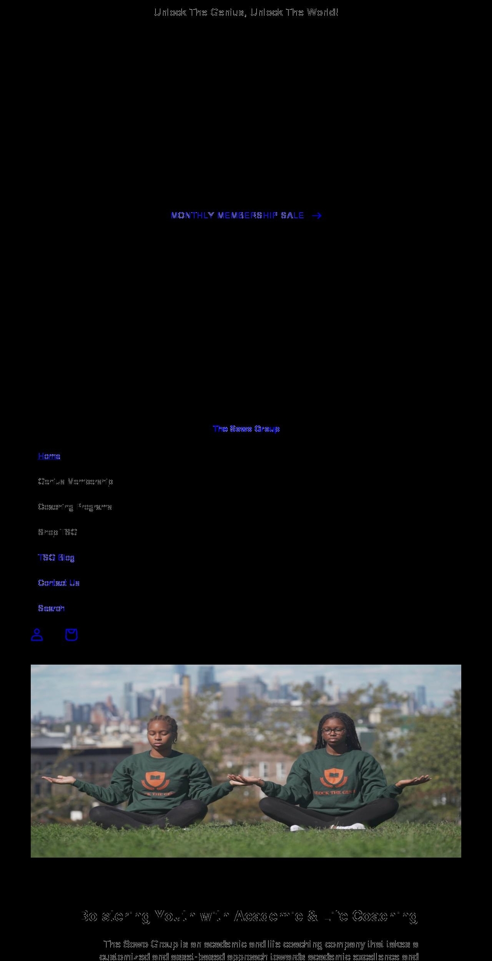 thesowogroup.com shopify website screenshot