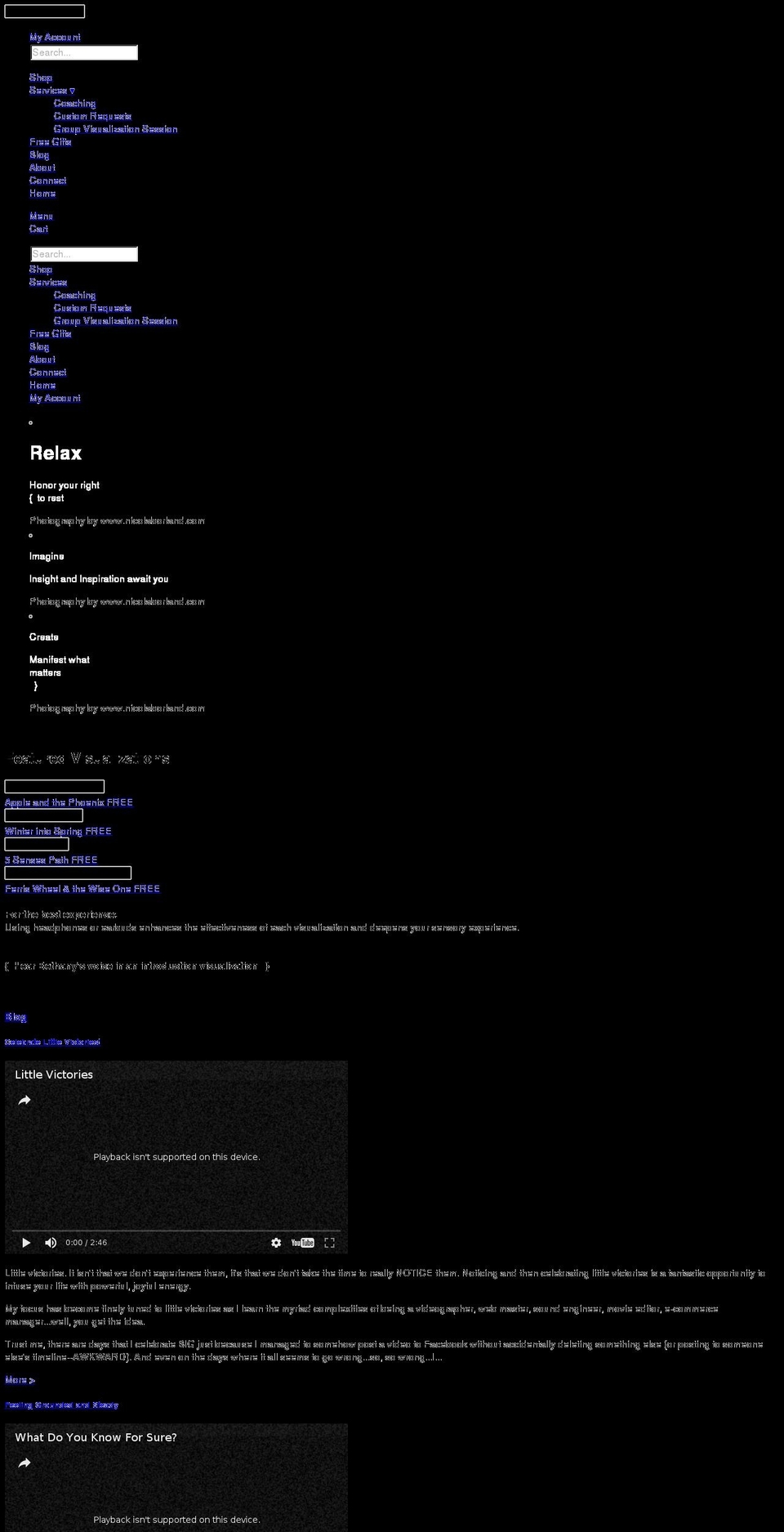 thespeakersjourney.com shopify website screenshot