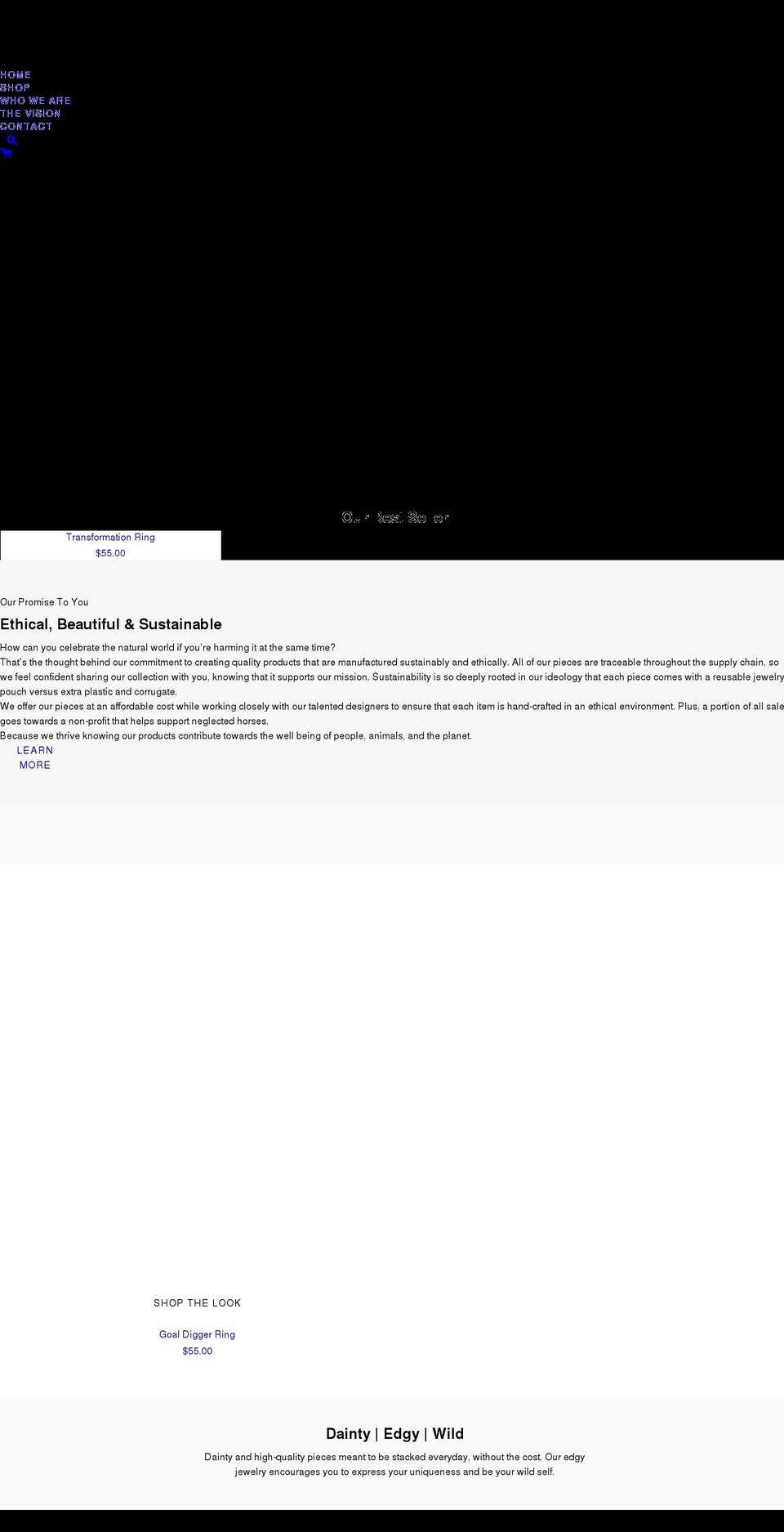 thestackershop.com shopify website screenshot