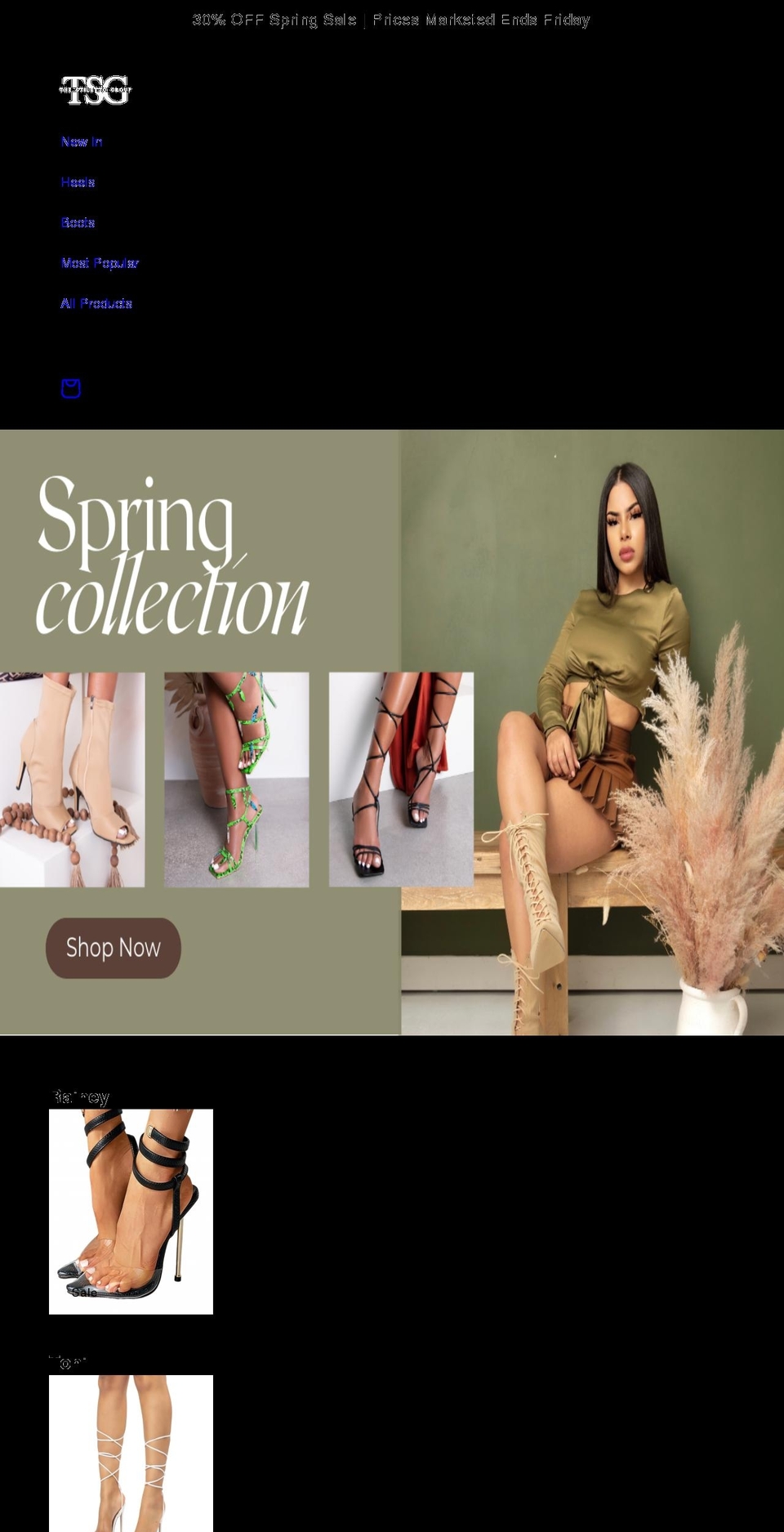thestilettogroup.com shopify website screenshot