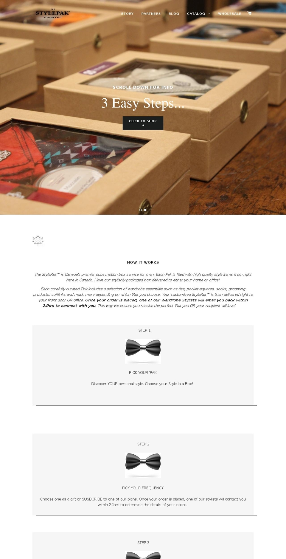thestylepak.com shopify website screenshot