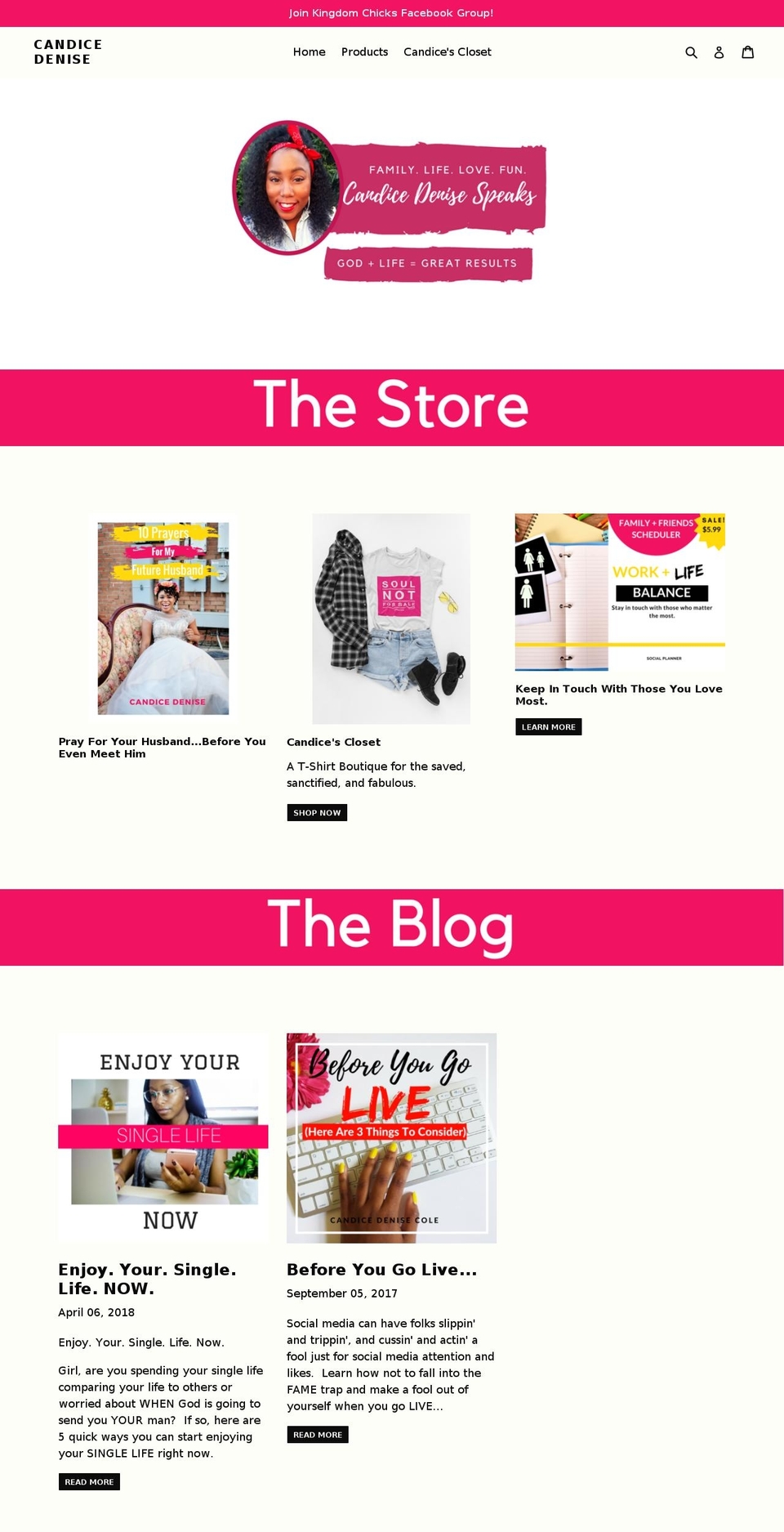 thesuccessshoppe.com — Shopify storefront screenshot