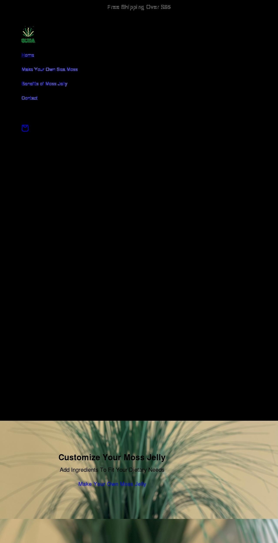 thesuna.com shopify website screenshot