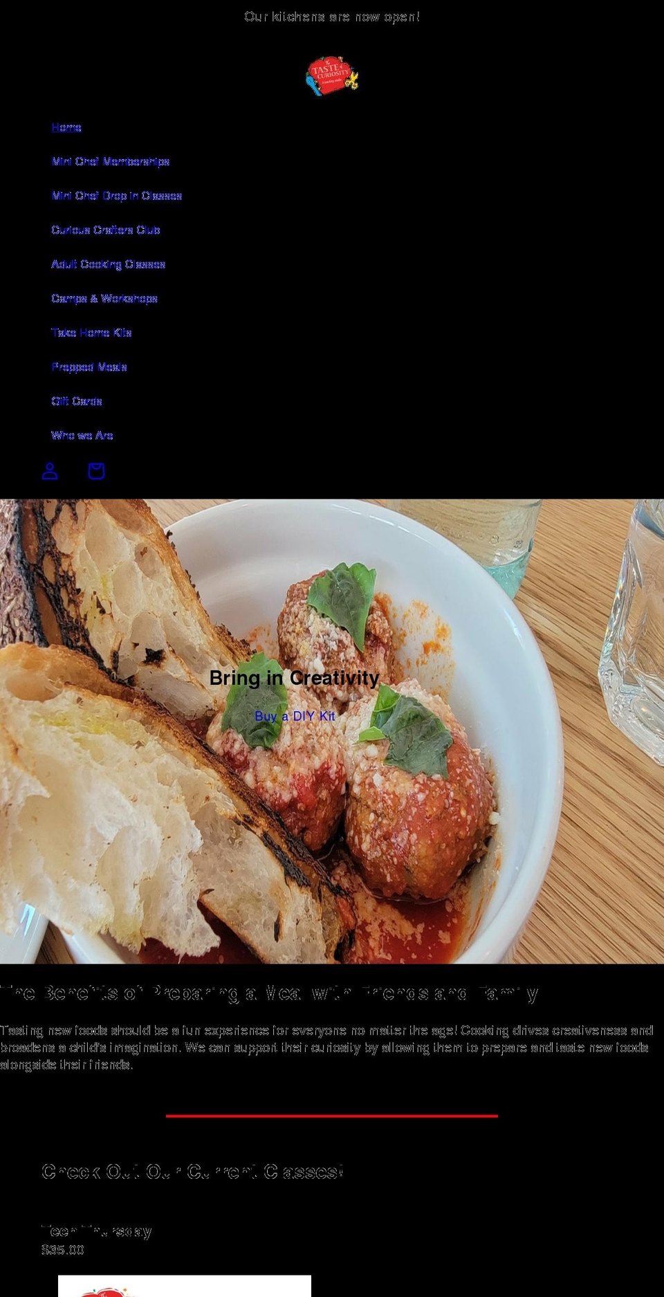 thetasteofcuriosity.com shopify website screenshot