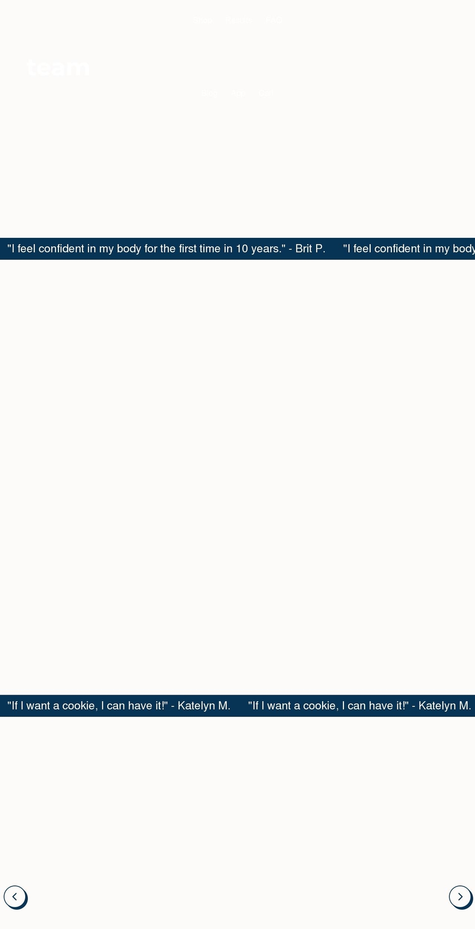theteamplans.com shopify website screenshot