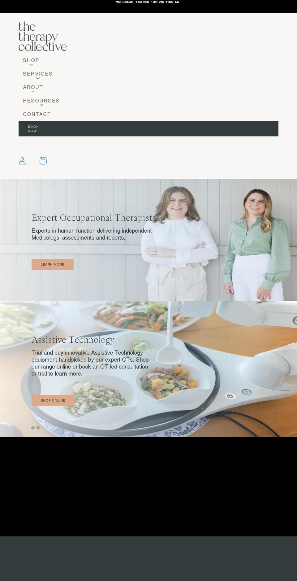 thetherapycollective.com.au shopify website screenshot