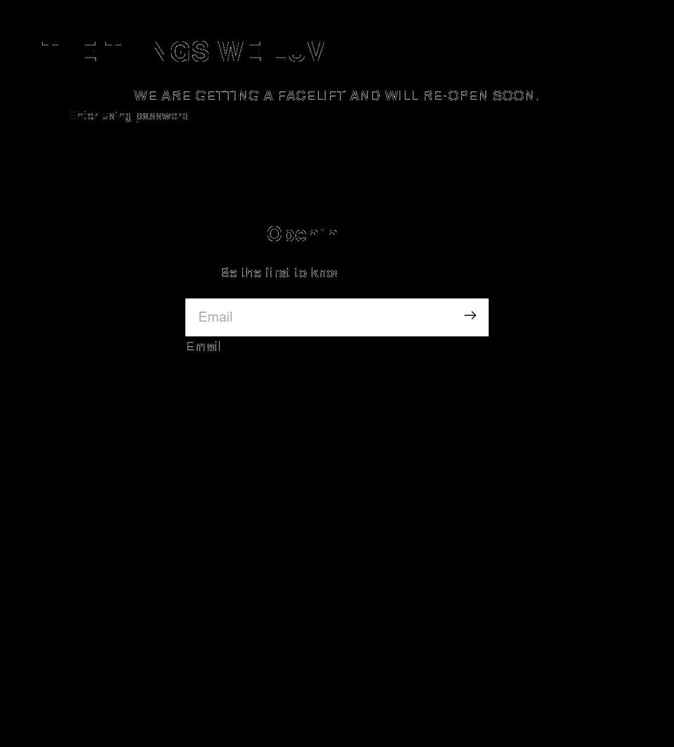 thethingsweluv.com shopify website screenshot