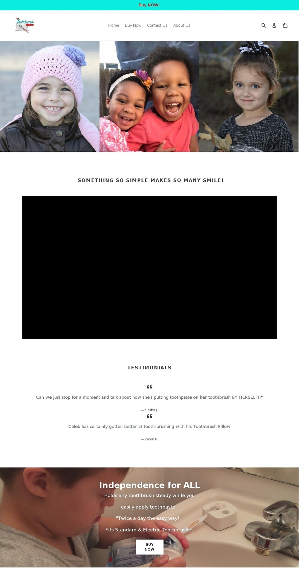 thetoothbrushpillow.com — Shopify storefront screenshot
