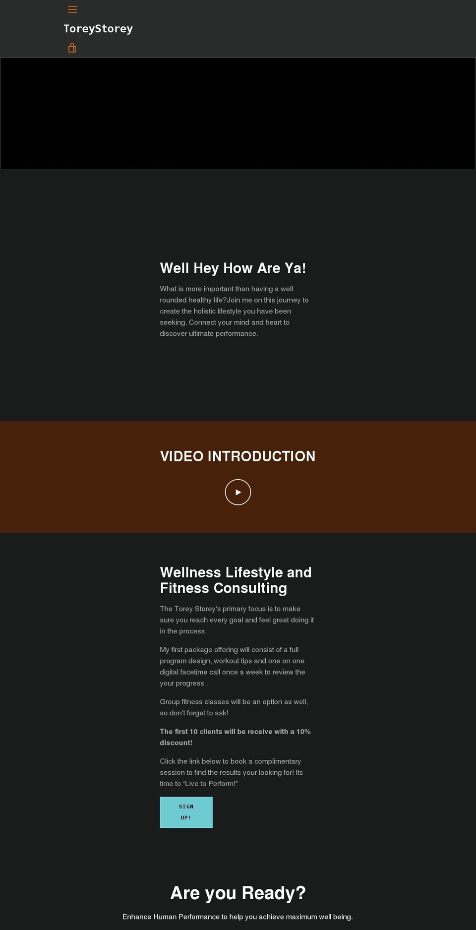 thetoreystorey.com shopify website screenshot