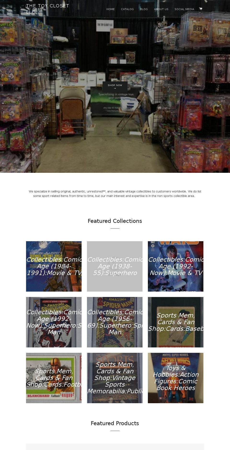 thetoycloset.biz shopify website screenshot