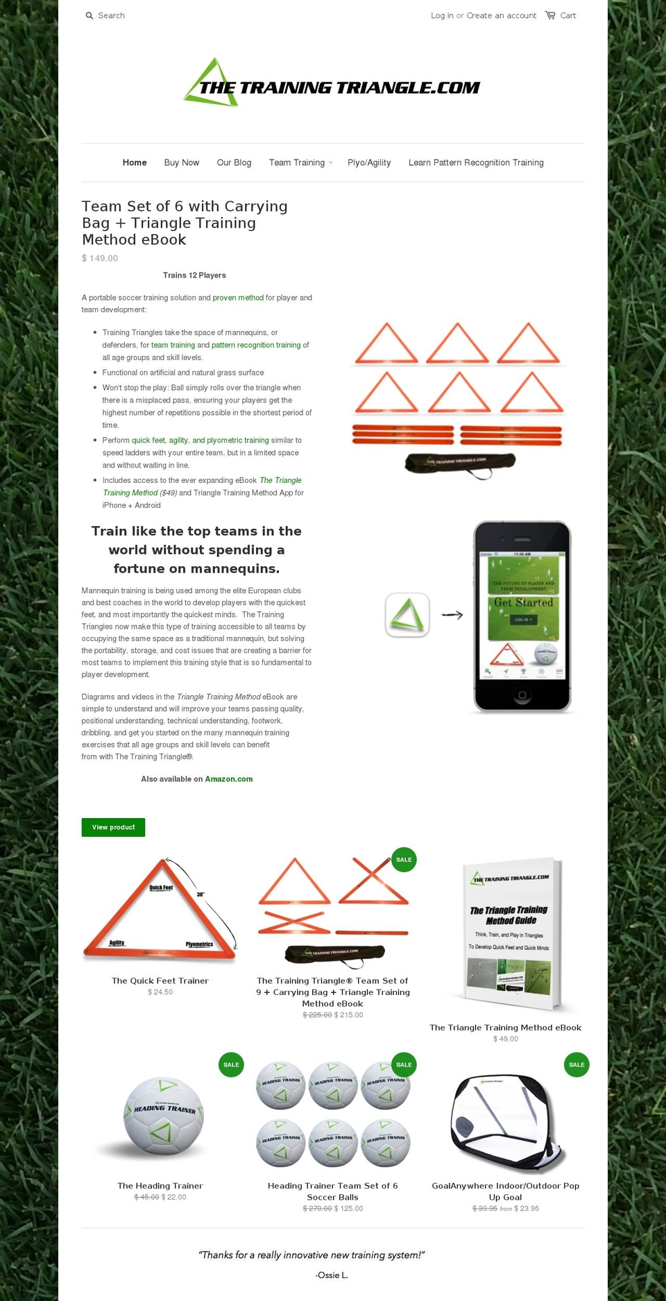 thetrainingtriangle.com shopify website screenshot