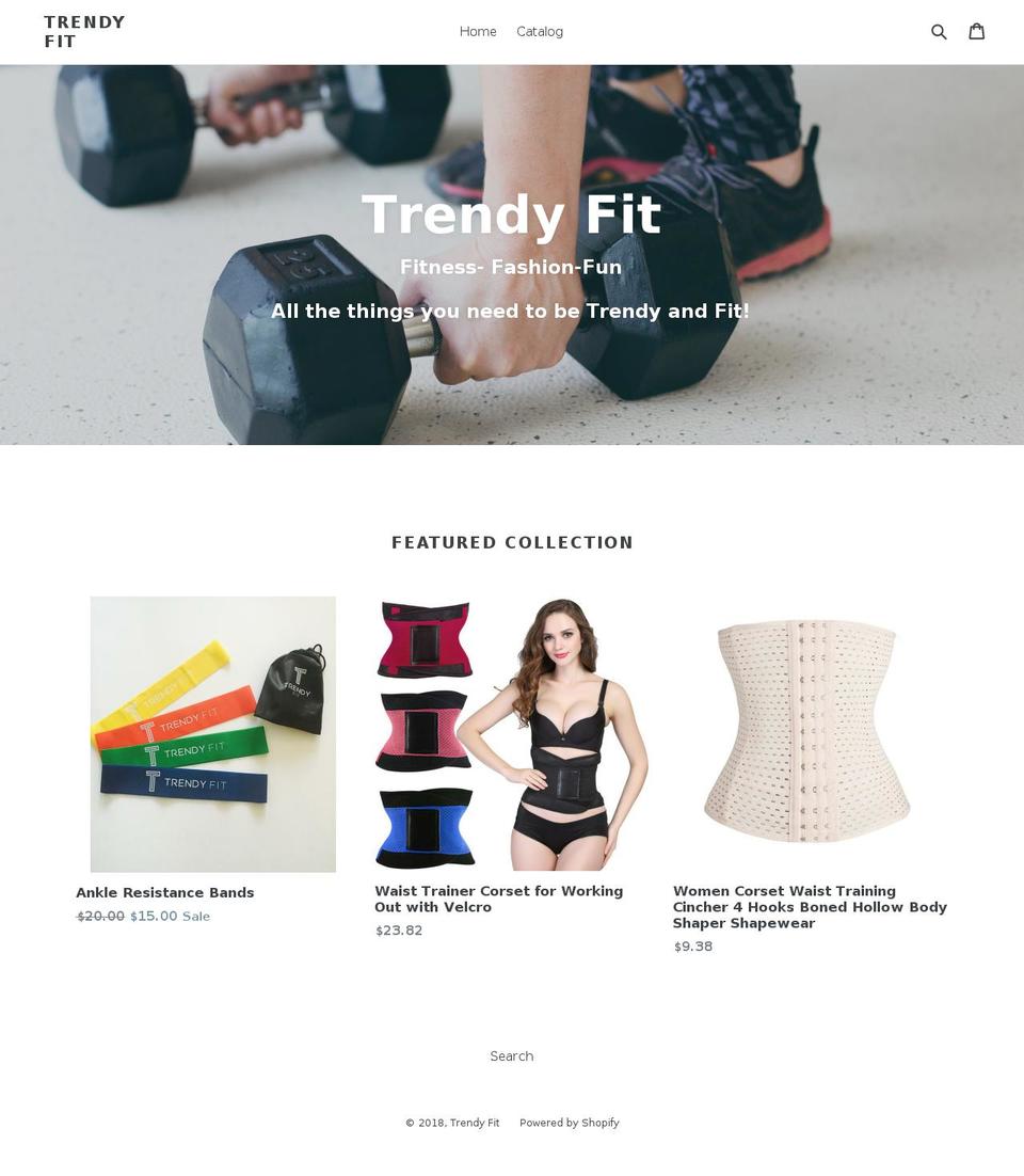 thetrendyfit.com — Shopify storefront screenshot