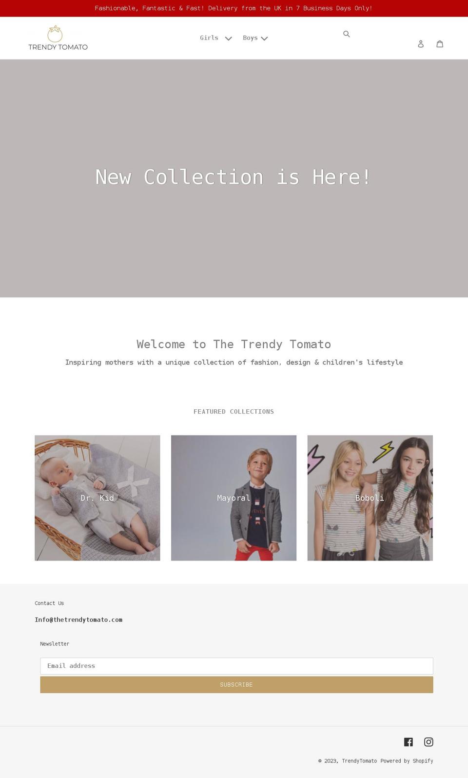 thetrendytomato.com shopify website screenshot