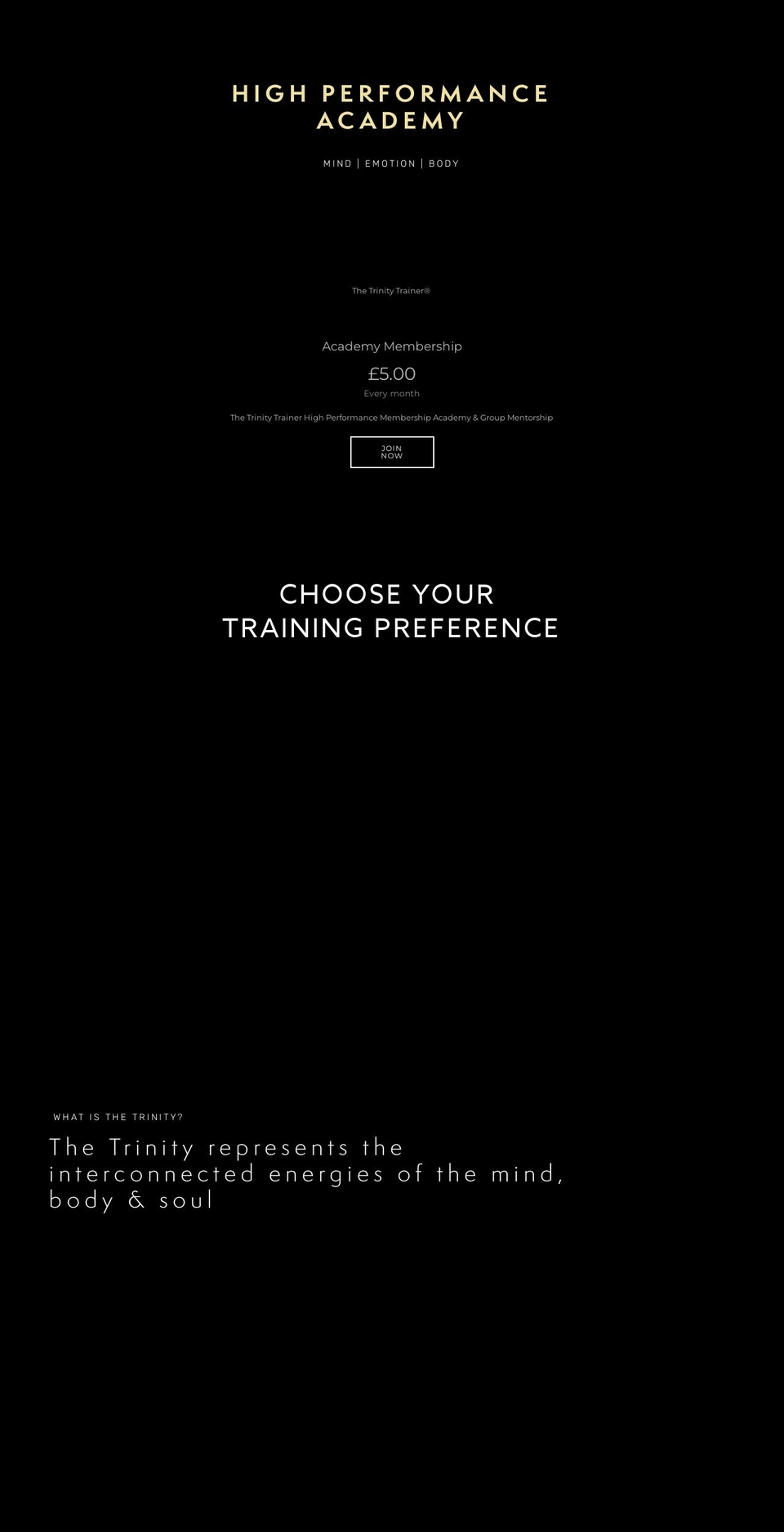 thetrinitytrainer.com — Shopify storefront screenshot