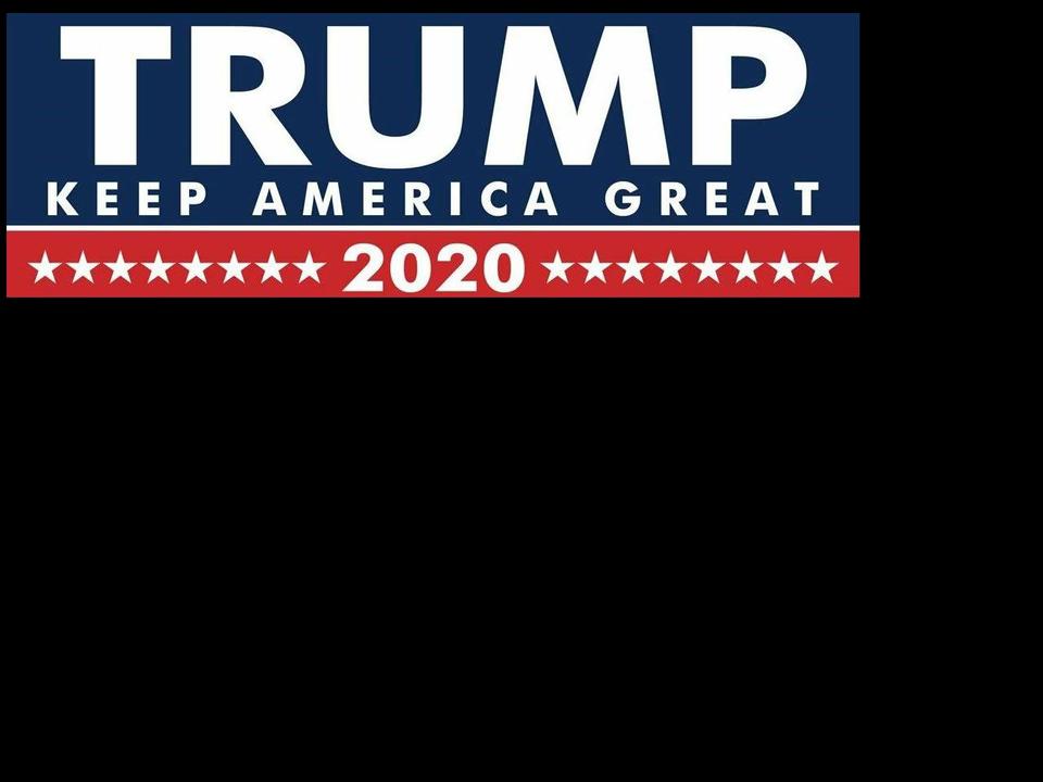 thetrumpstoreusa.com — Shopify storefront screenshot
