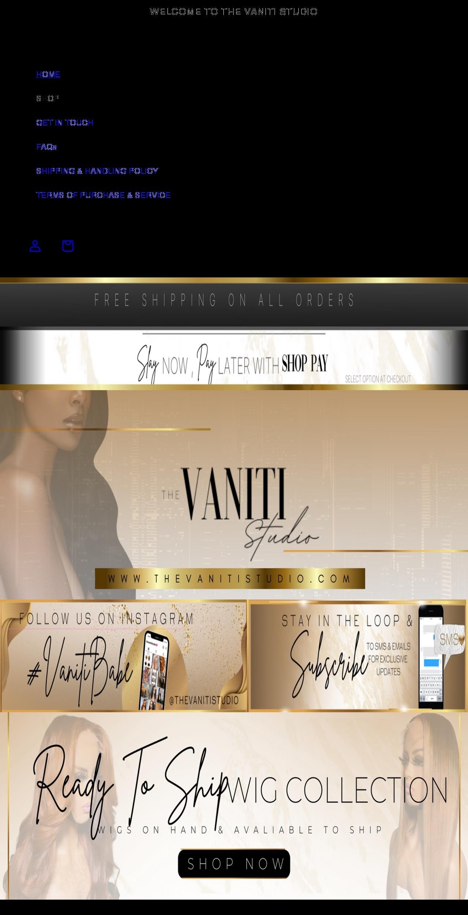 thevanitistudio.com shopify website screenshot