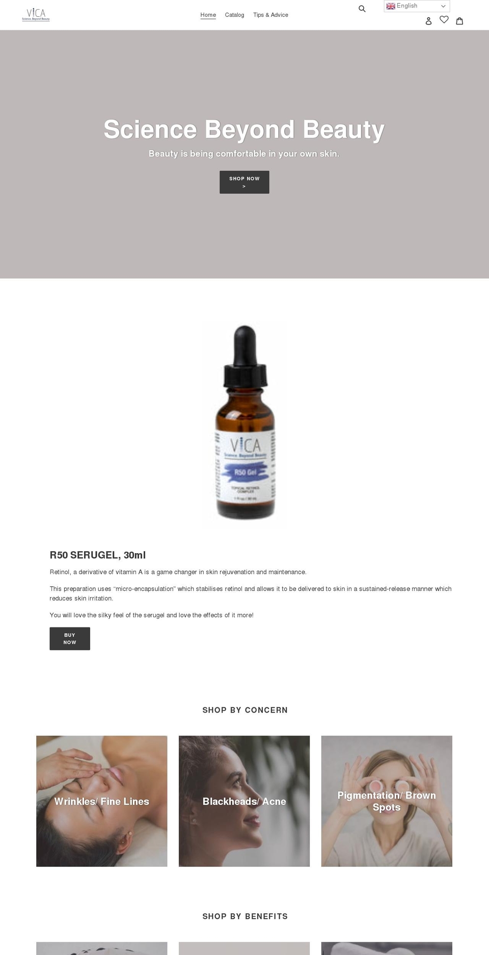 thevicastore.com shopify website screenshot