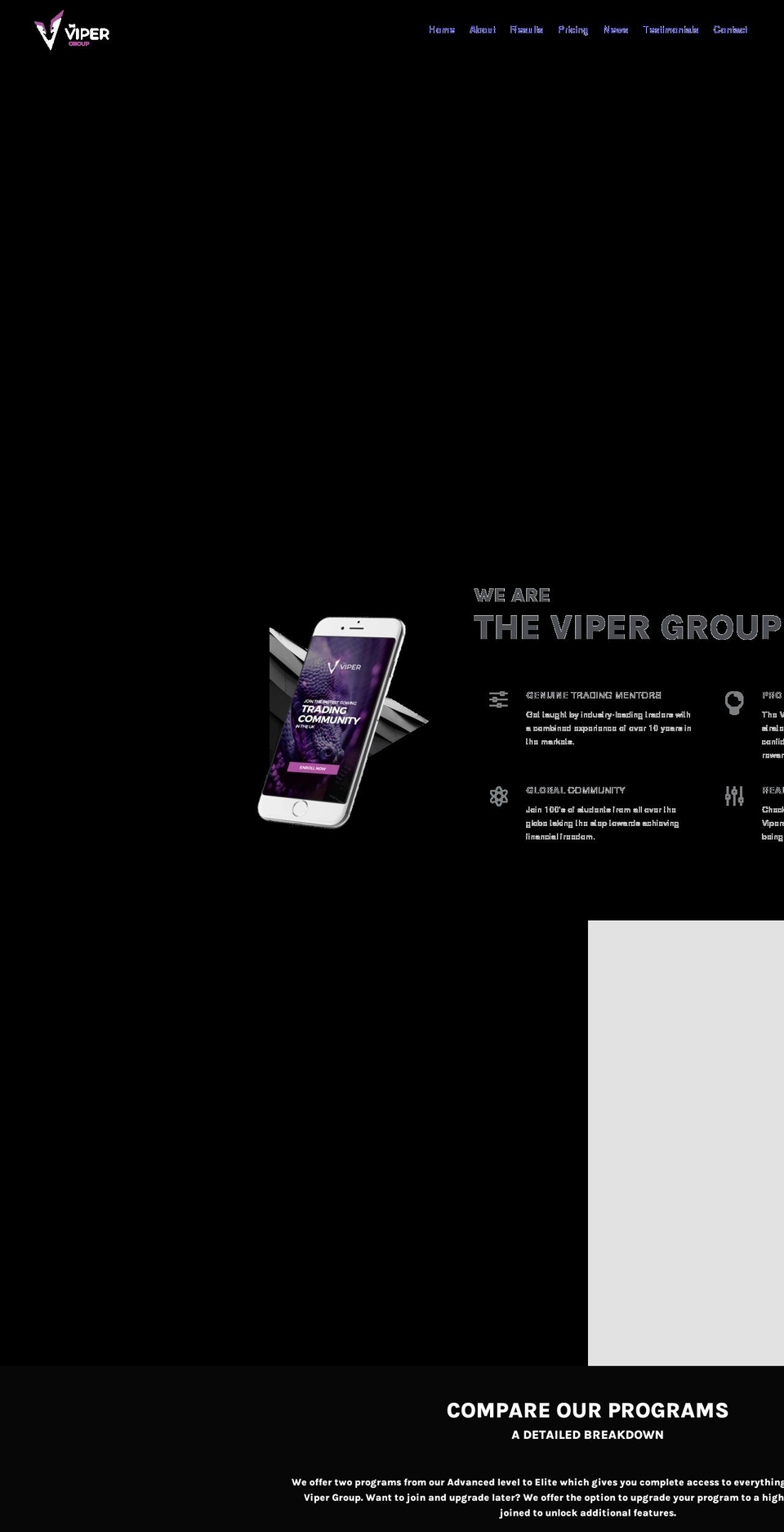 thevipergroup.com shopify website screenshot