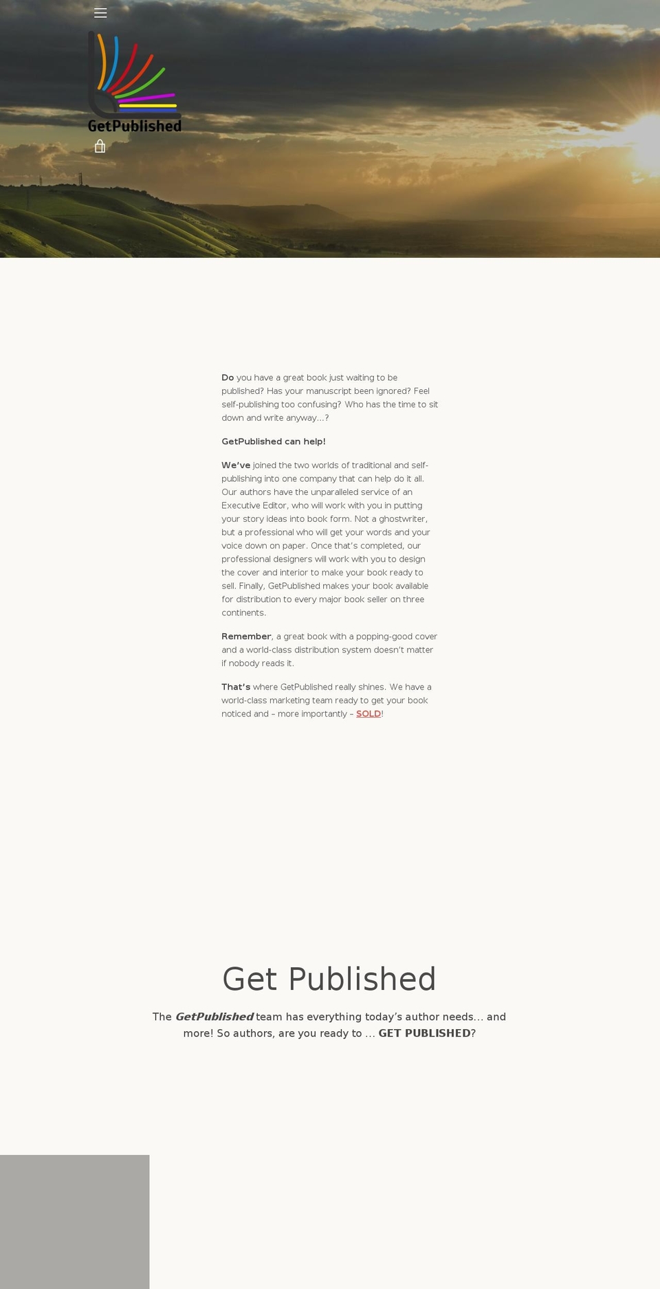 thevisiongroupltd.com — Shopify storefront screenshot