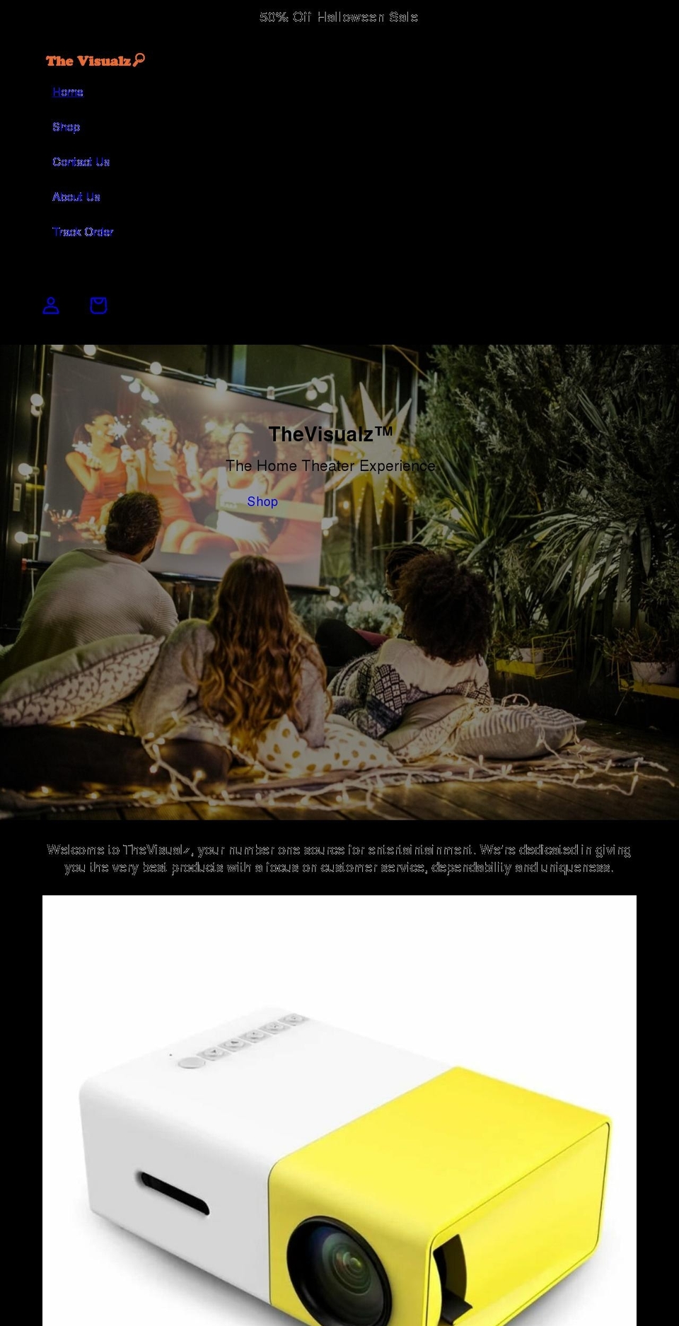thevisualz.com shopify website screenshot