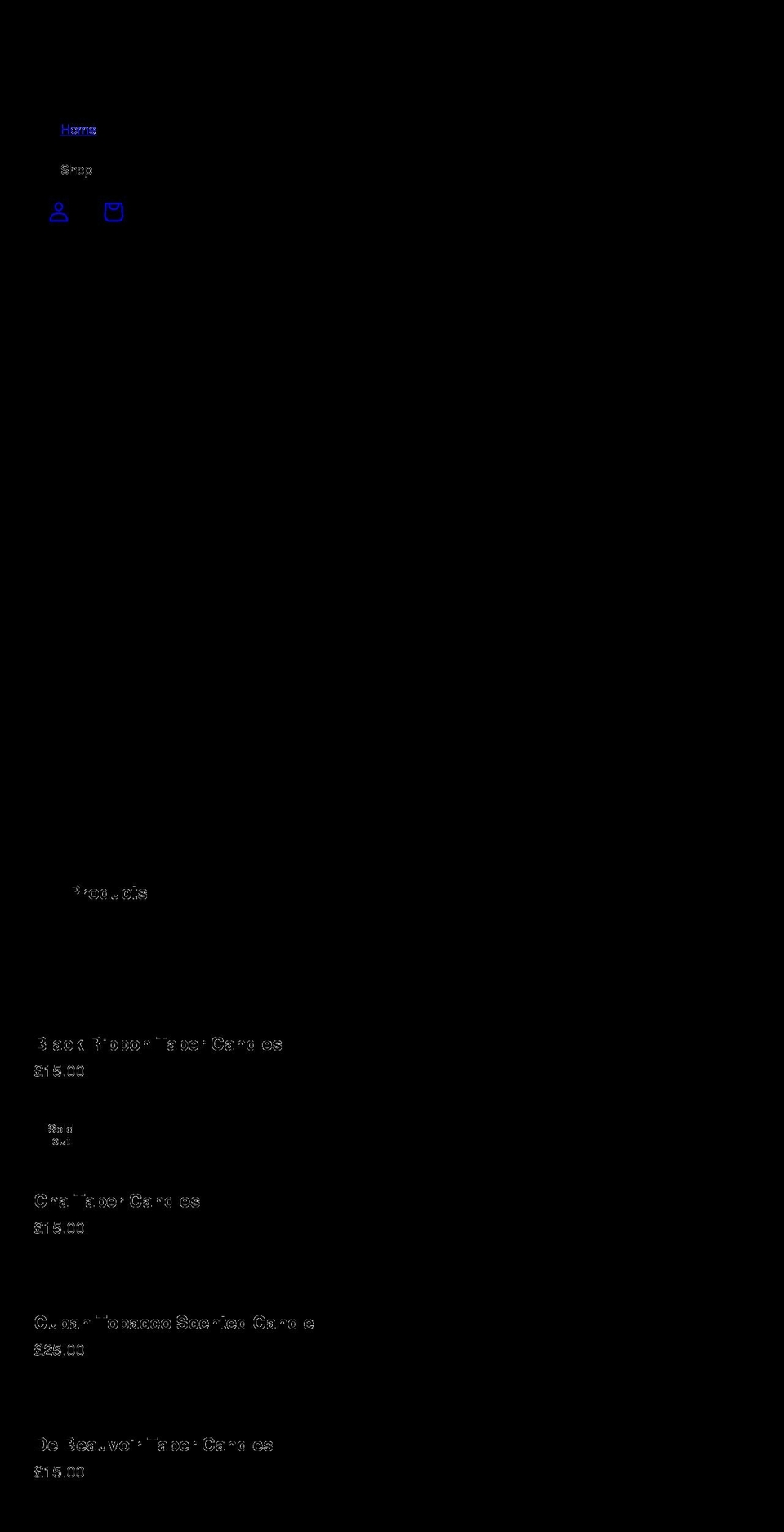 thewabisabistore.com shopify website screenshot