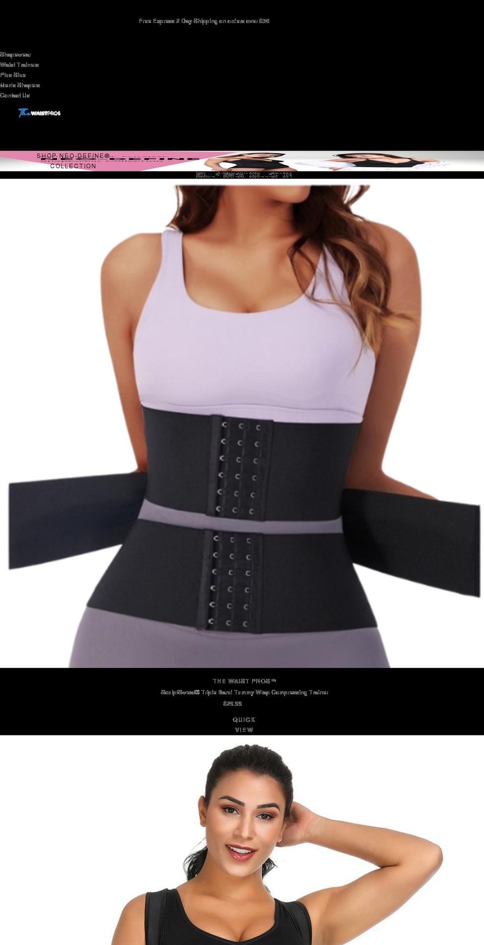 thewaistpros.com shopify website screenshot