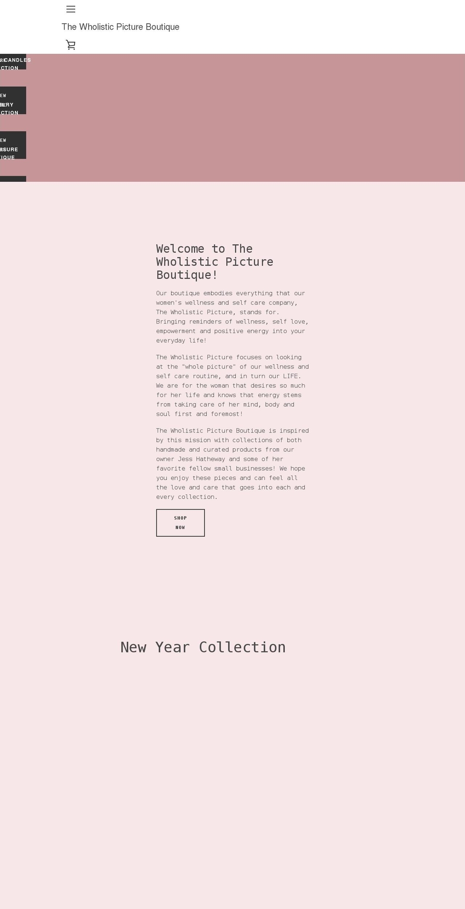 thewholisticpicture.com — Shopify storefront screenshot