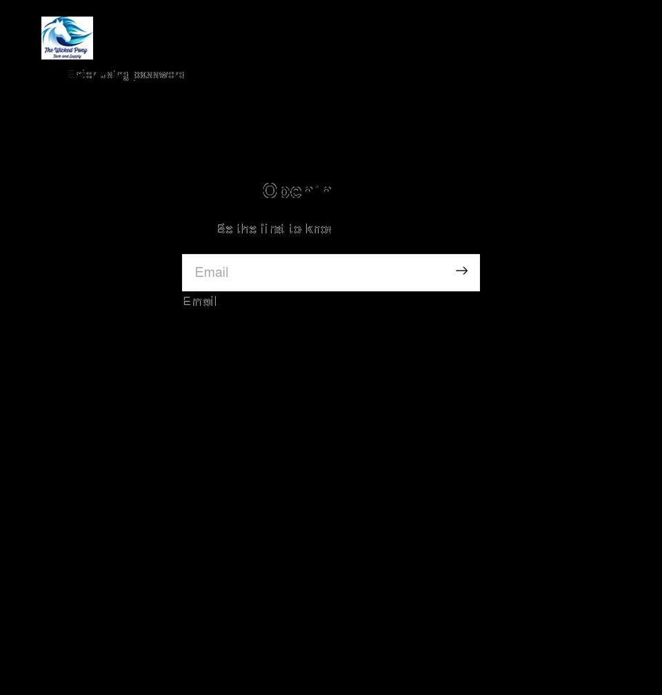 thewickedpony.net shopify website screenshot
