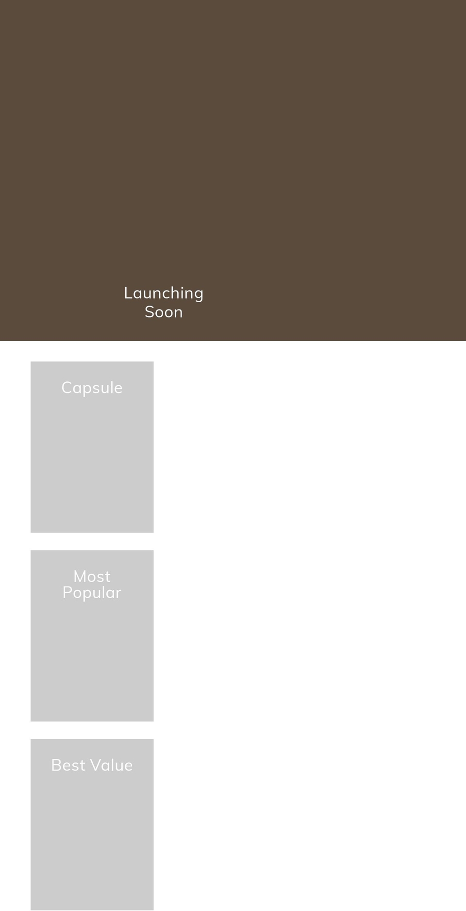thewildgooseshoppe.com — Shopify storefront screenshot