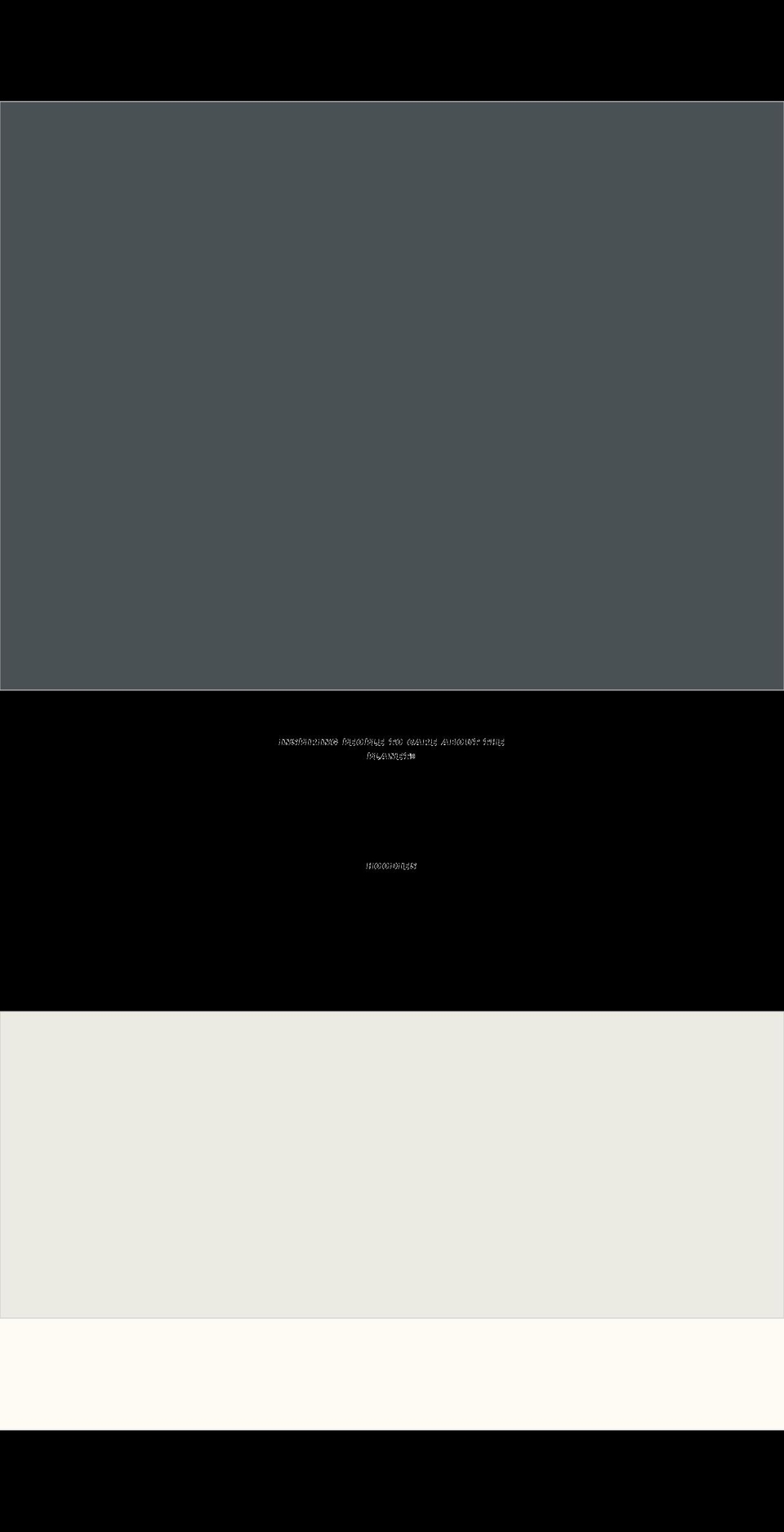 thewinandbrand.com shopify website screenshot