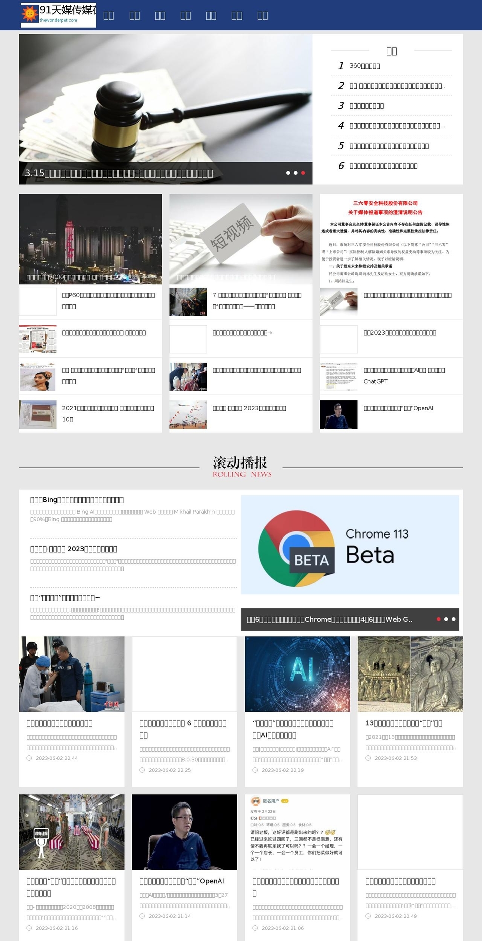 thewonderpet.com — Shopify storefront screenshot